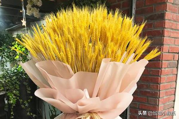 开业大麦花篮图片（开业大麦花篮图片高清）