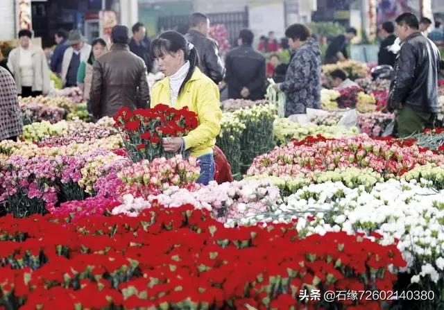昆明鲜花批发网站（昆明鲜花批发平台哪个好）