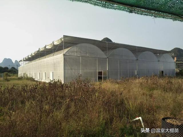 花卉大棚（花卉大棚建造商）