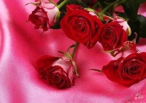 花束包装教程图解(花束包装教程一图一步)