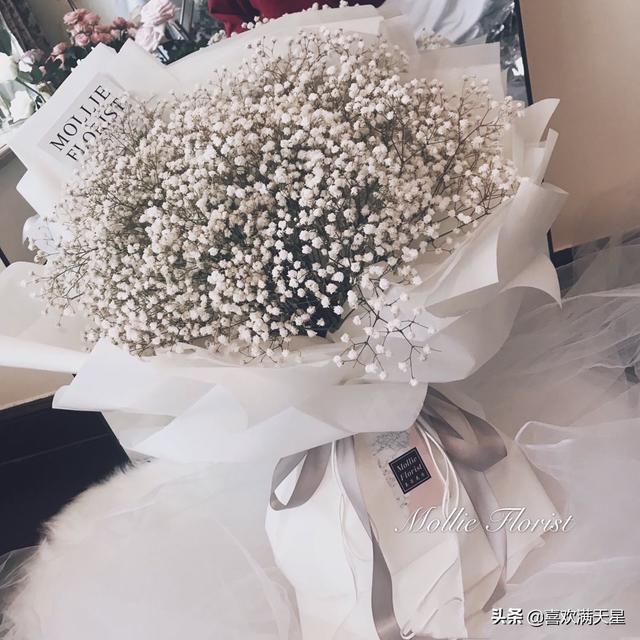 满天星寓意着什么(满天星寓意好吗)