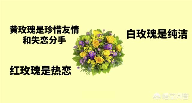 最浪漫的情人节图片（最浪漫的图片 唯美）