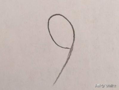 画一朵立体玫瑰花（画一朵立体玫瑰花教程）