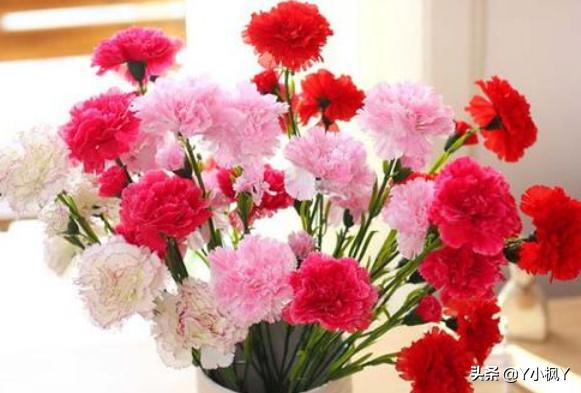 母亲节鲜花图（母亲节鲜花带字图片）