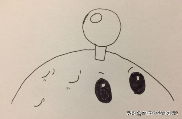 植物图片大全大图唯美简笔画