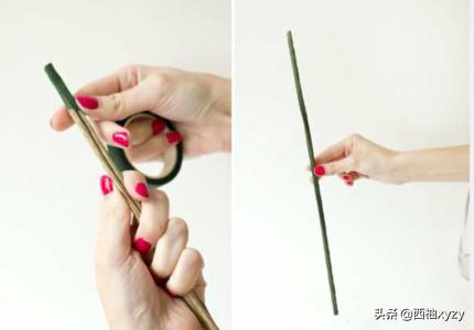 一二三年级手工玫瑰花(一二三年级手工玫瑰花简单又漂亮)