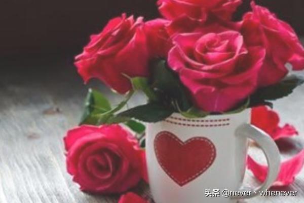 情人节送女朋友什么最好（情人节送女朋友什么合适）