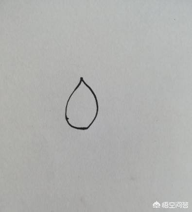 最漂亮的荷花图片（最漂亮的荷花图片绘画）