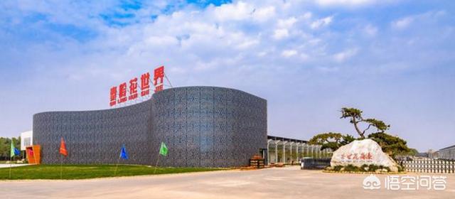 西安花卉物流_西安花卉公司