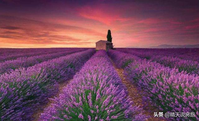 薰衣草庄园(薰衣草庄园)_薰衣草庄园简介