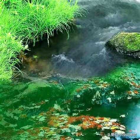 在小城市开个花店需要多少钱