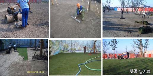 马尼拉草皮适合什么时候种植