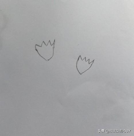 康乃馨花简笔画（康乃馨花怎么画）