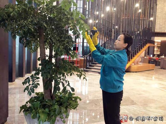 西安鲜花店转让（西安市鲜花店）