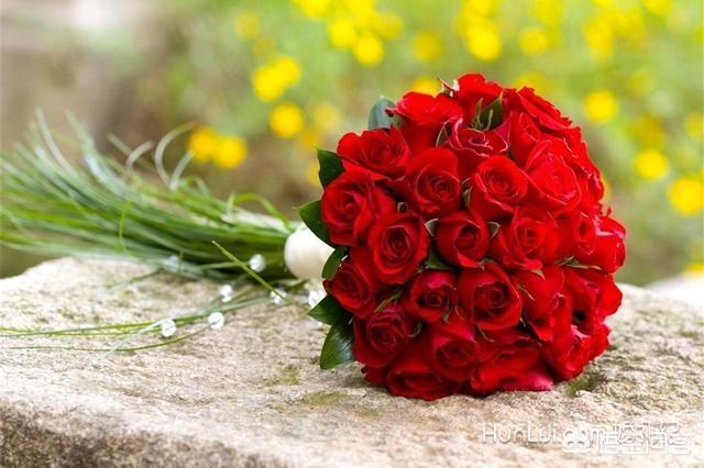 表白玫瑰花多少朵合适（表白玫瑰花多少朵合适）