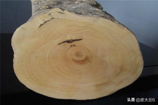 真正的小叶黄杨木_真正的小叶黄杨木贵吗