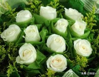 十一支玫瑰花的含义