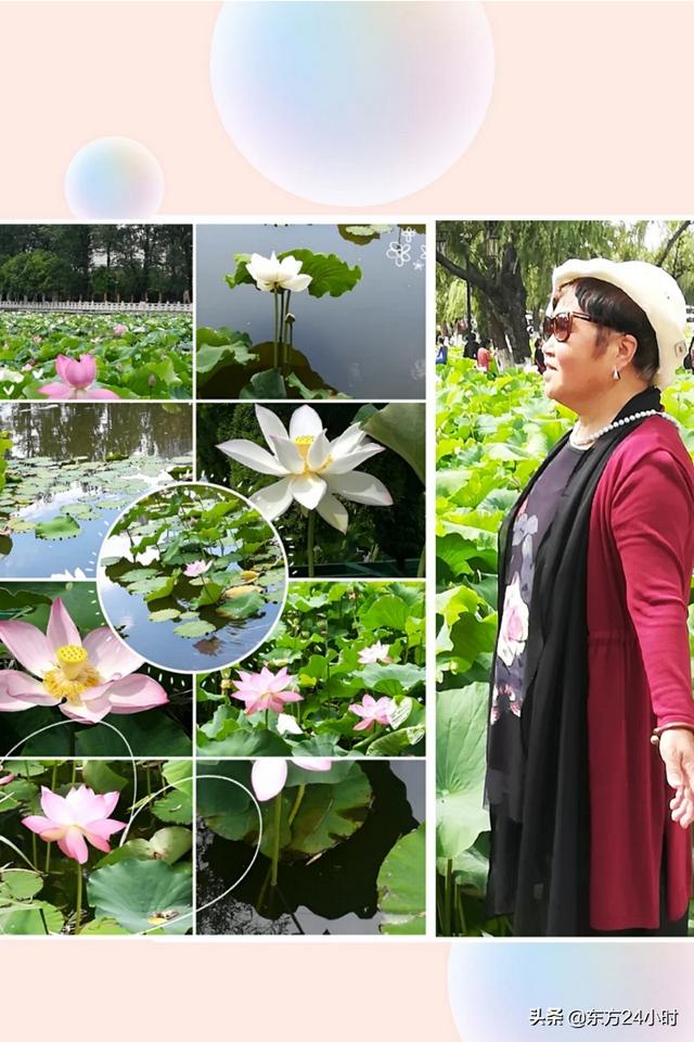 最美荷花图片大全（最美荷花图片大全高清 头像）