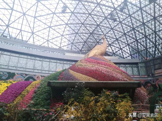 昆明鲜花城（昆明鲜花店电话）