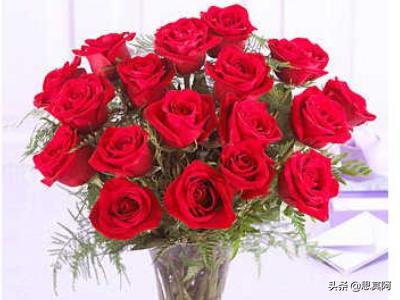 花束寓意(水果花束寓意)