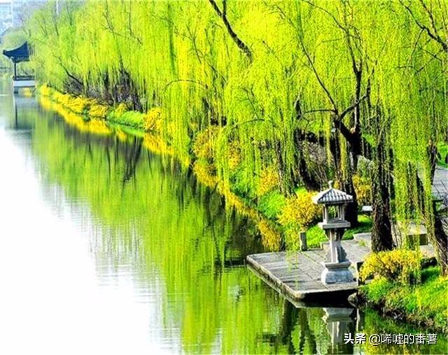 垂柳把溪水当作梳妆的镜子是比喻句还是拟人句