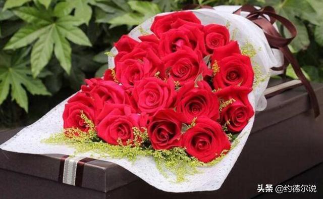 红玫瑰19朵的花语(红玫瑰19朵代表什么)