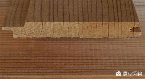 室外绿化植物品种大全（室外绿化植物品种大全图片及）