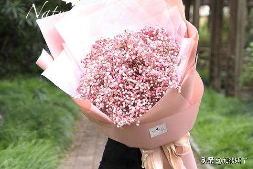 花语花语及图片大全（花语大全 图片）