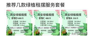 花卉租摆（花卉租摆价格报价单）