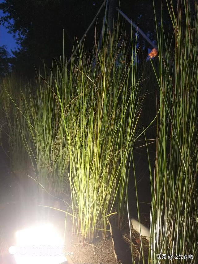 花卉种植技术培训基地(花卉栽培培训)