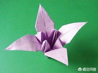 百合花折纸视频教程（百合花折纸教程简单的方式）