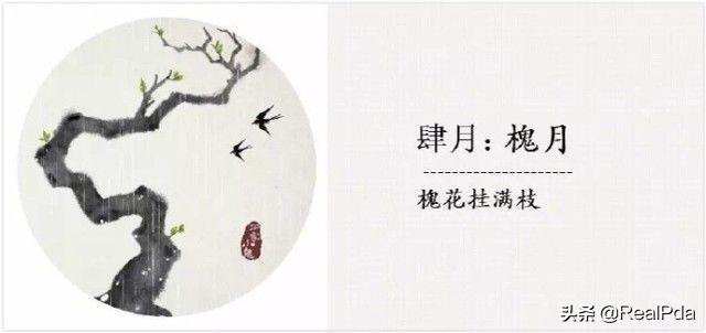 六月到九月开什么花（6-9月花期的花）