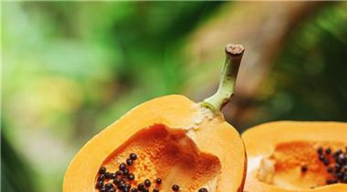 木瓜海棠果图片大全（木瓜海棠果实怎么吃才好吃）