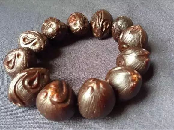 银杏树的样子图片(银杏树树的样子)