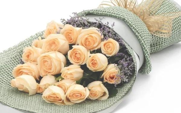 13朵香槟玫瑰不能随便送人（13朵香槟玫瑰不能随便送人吗）