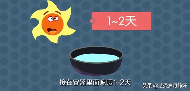 无根富贵竹怎么水养（无根富贵竹怎么水养才能发芽）