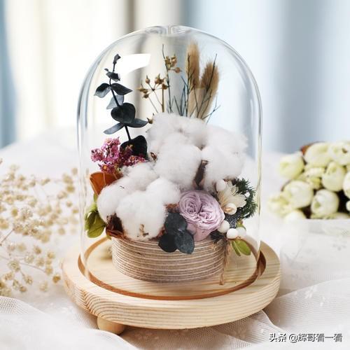 永生花为什么那么贵（永生花为什么会变色）