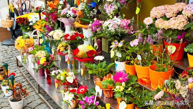 形容鲜花的词语（形容鲜花的词语abab）