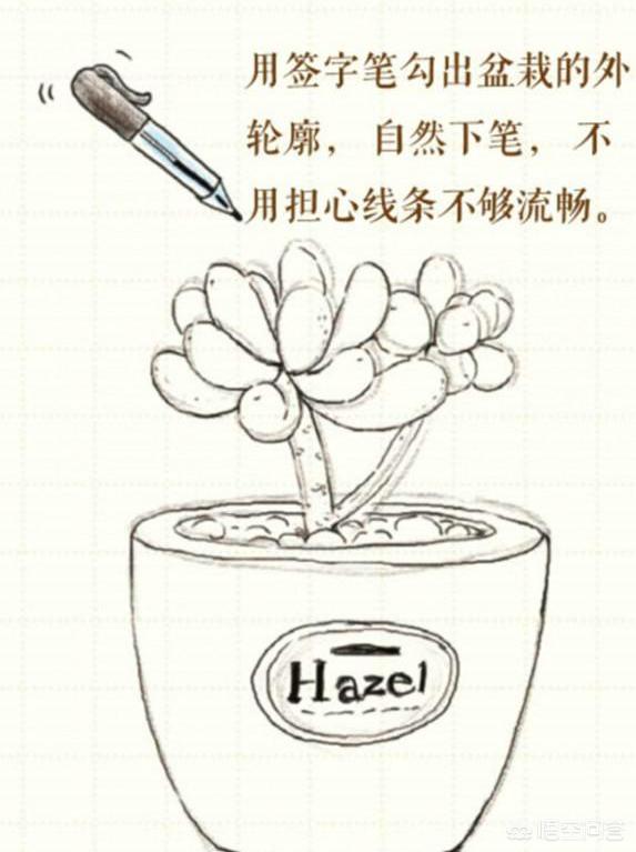 植物图片手绘（植物图片画画素材）